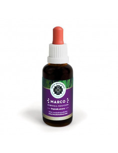 Marco - extract 50 ml