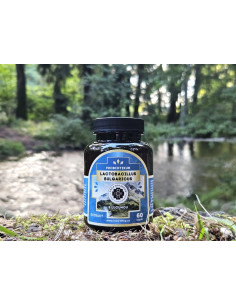 Lactobacillus bulgaricus mit Lukuma 60 Kapseln 2